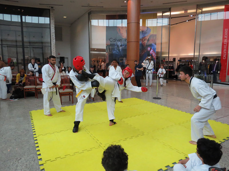 Copa Barreto Taekwondo 2019  - <i class="fa fa-download"></i> <a href="../images/galeria/copa_barreto_2019/foto_63.jpg" target="_blank" download>Download</a>